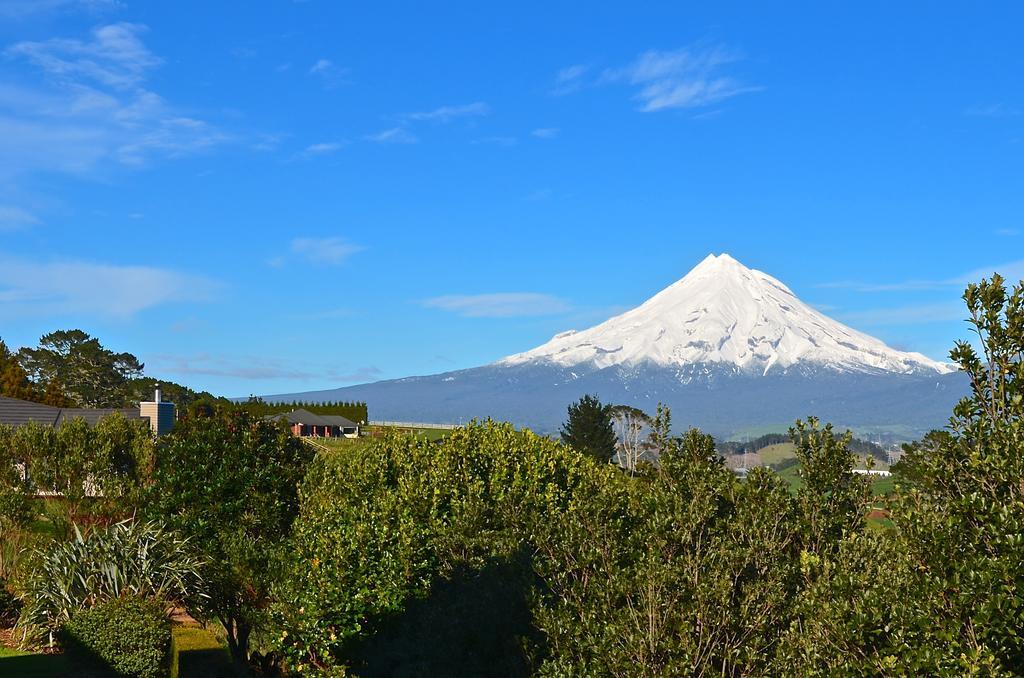 A Touch Of Tuscany At Hillsborough New Plymouth Ngoại thất bức ảnh