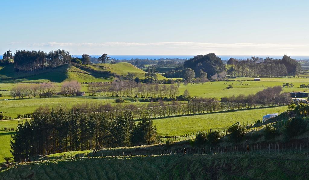 A Touch Of Tuscany At Hillsborough New Plymouth Ngoại thất bức ảnh